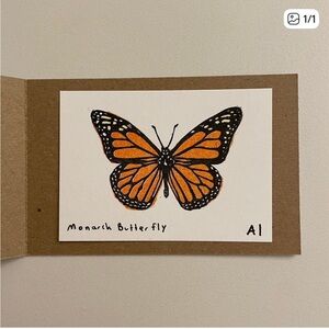 Inciardi print bundle